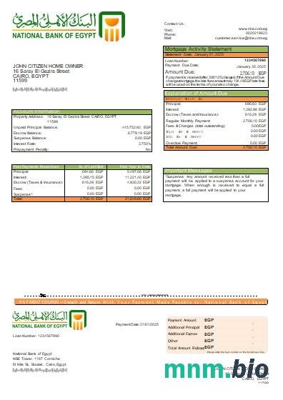 Egipt Bank Narodowy Egiptu wyciąg z kredytu hipotecznego szablon Word i PDF